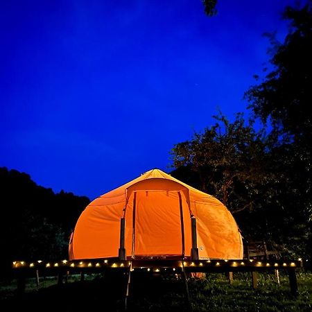 Flore'S Garden Glamping 브란 외부 사진