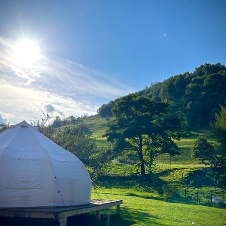 Flore'S Garden Glamping 브란 외부 사진
