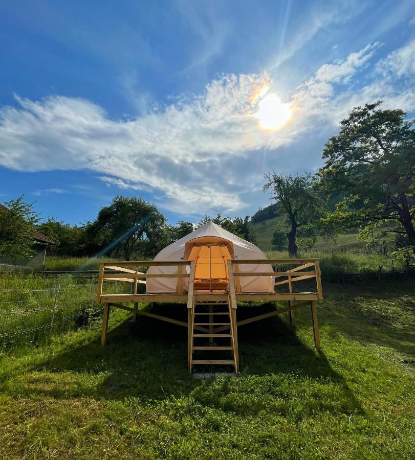 Flore'S Garden Glamping 브란 외부 사진