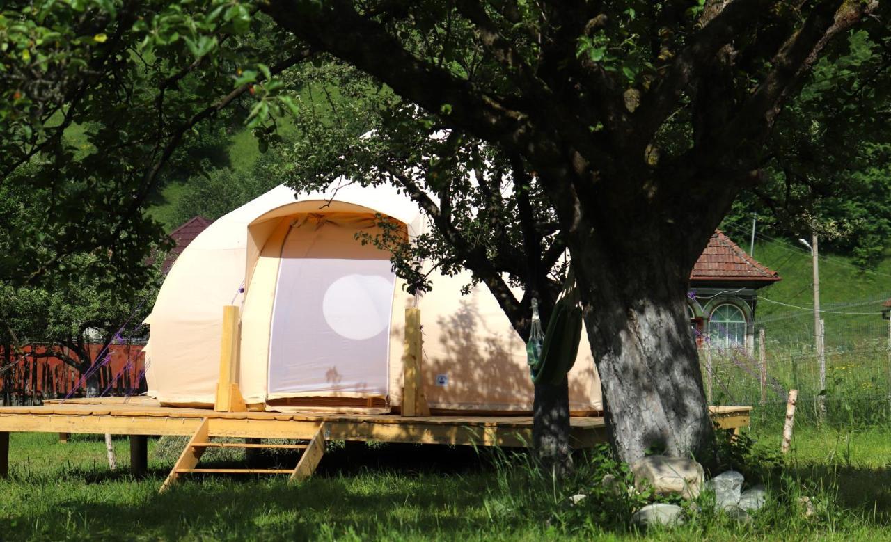 Flore'S Garden Glamping 브란 외부 사진