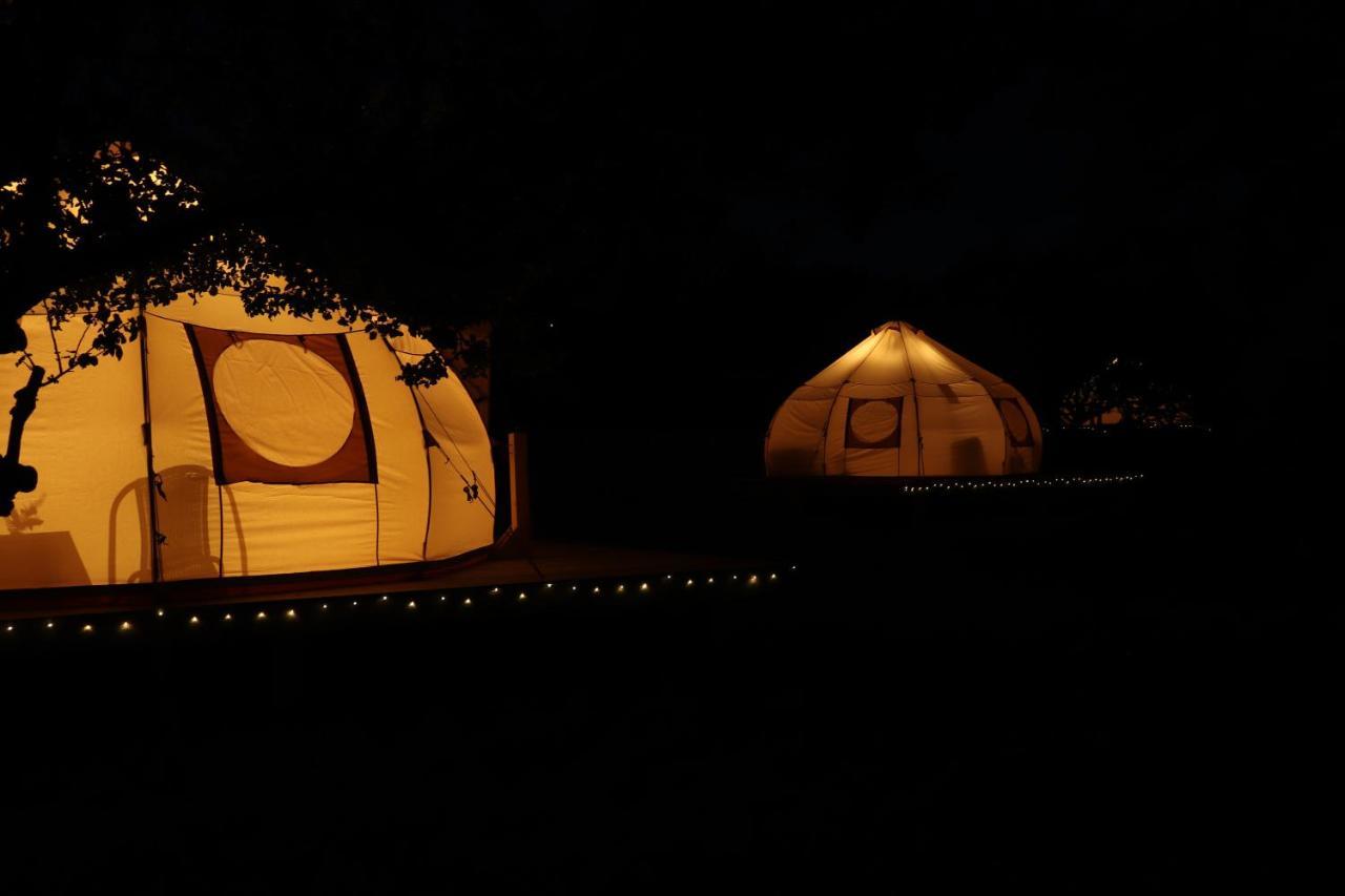 Flore'S Garden Glamping 브란 외부 사진