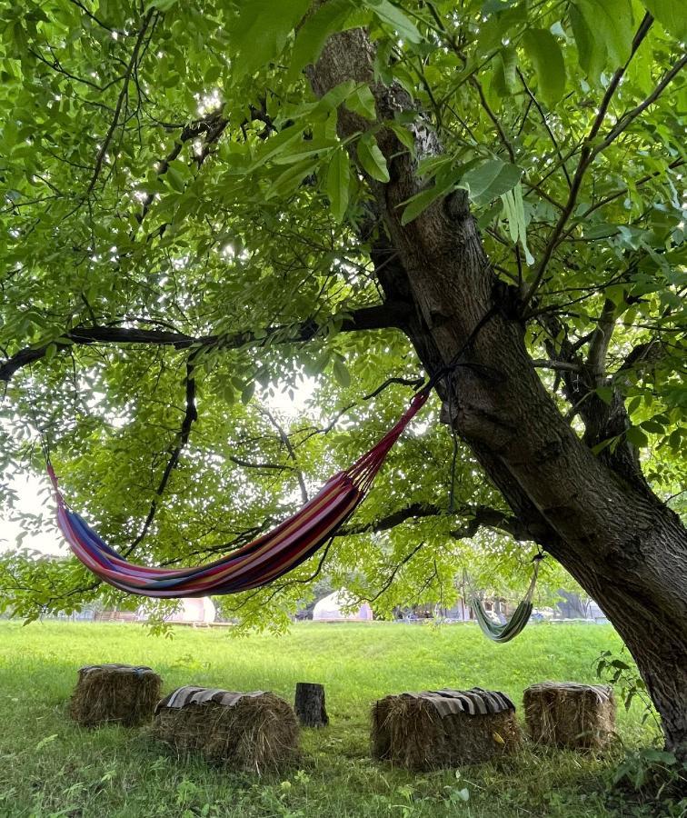 Flore'S Garden Glamping 브란 외부 사진