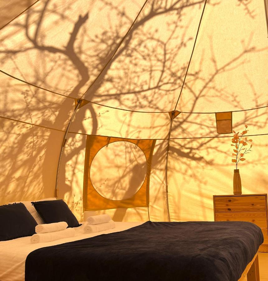 Flore'S Garden Glamping 브란 외부 사진