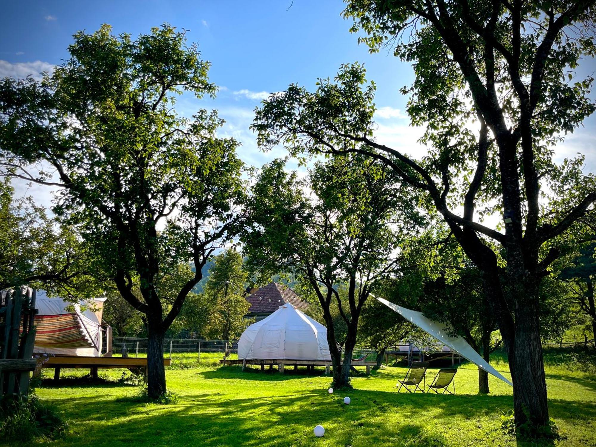 Flore'S Garden Glamping 브란 외부 사진