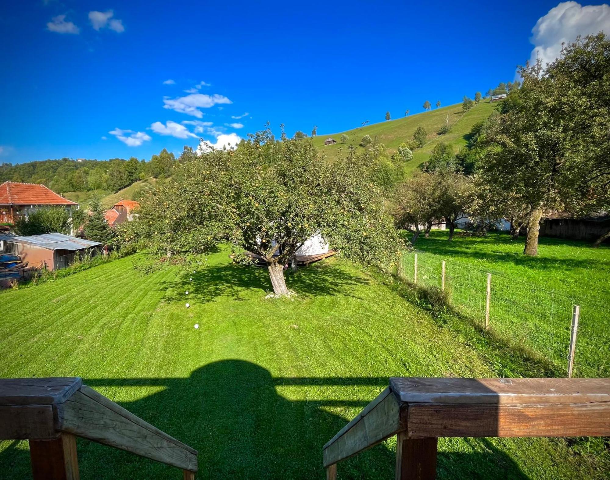 Flore'S Garden Glamping 브란 외부 사진